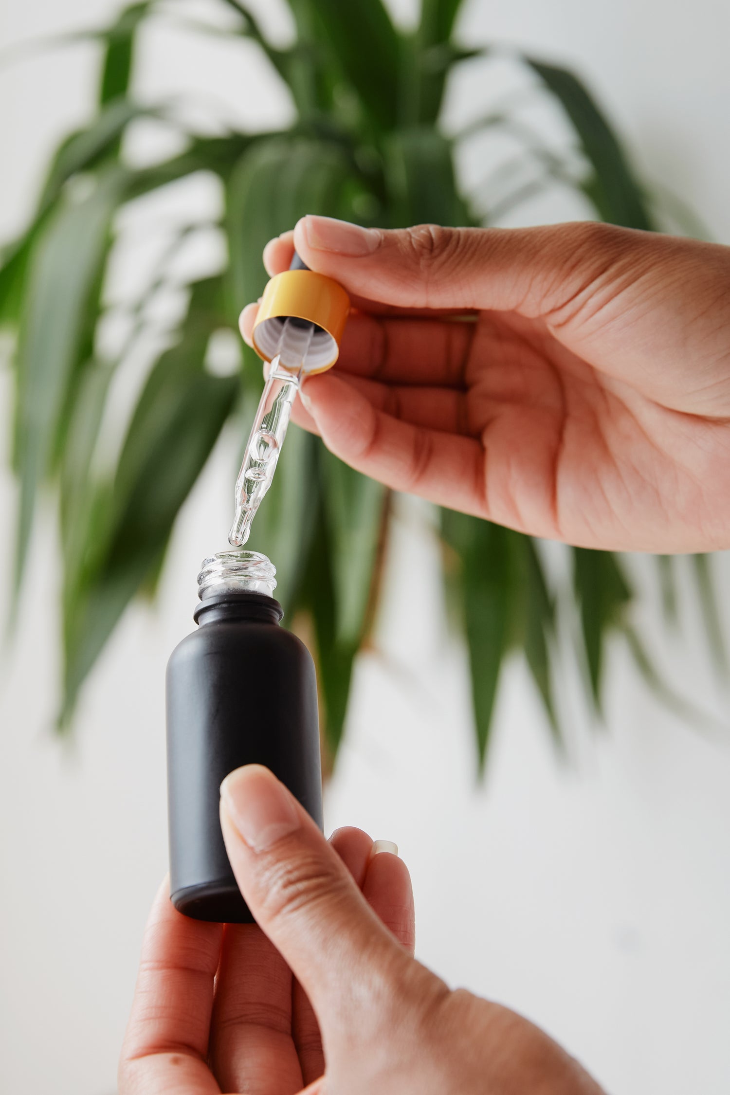 Hand holding black bottle and dropper applicator