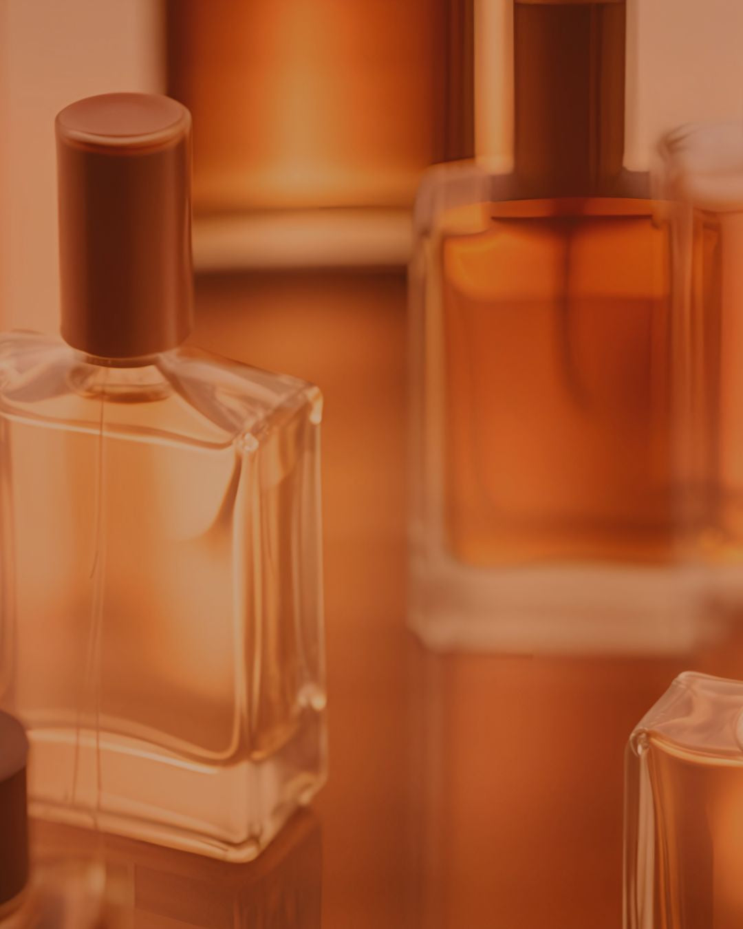 Niche Perfume Oils Vs. Designer Perfumes